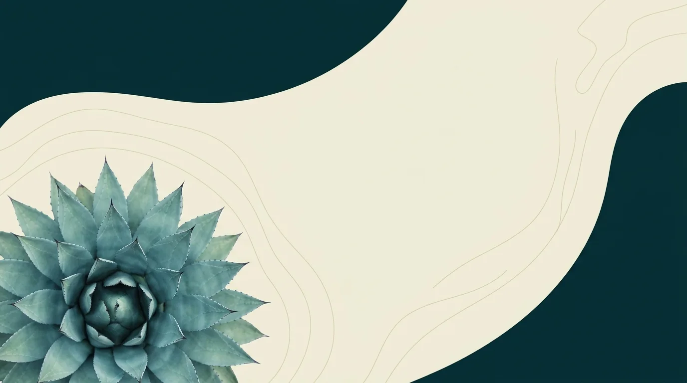 Macro cenital de una roseta de agave azul con su patrón radial de pencas