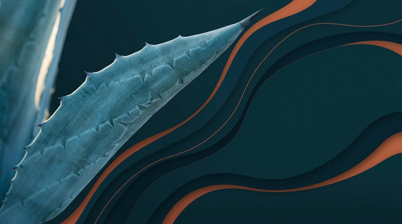 Detalle geométrico y textura natural de roseta de agave azul